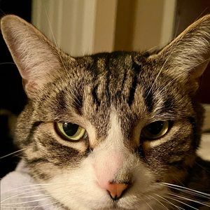 Meet your Posher, Kathie